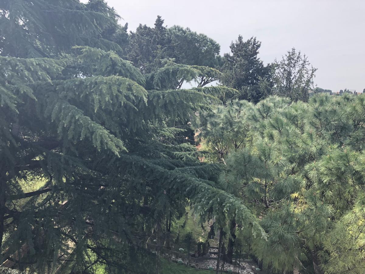 Suite Colosseo Apt. Rome Bagian luar foto